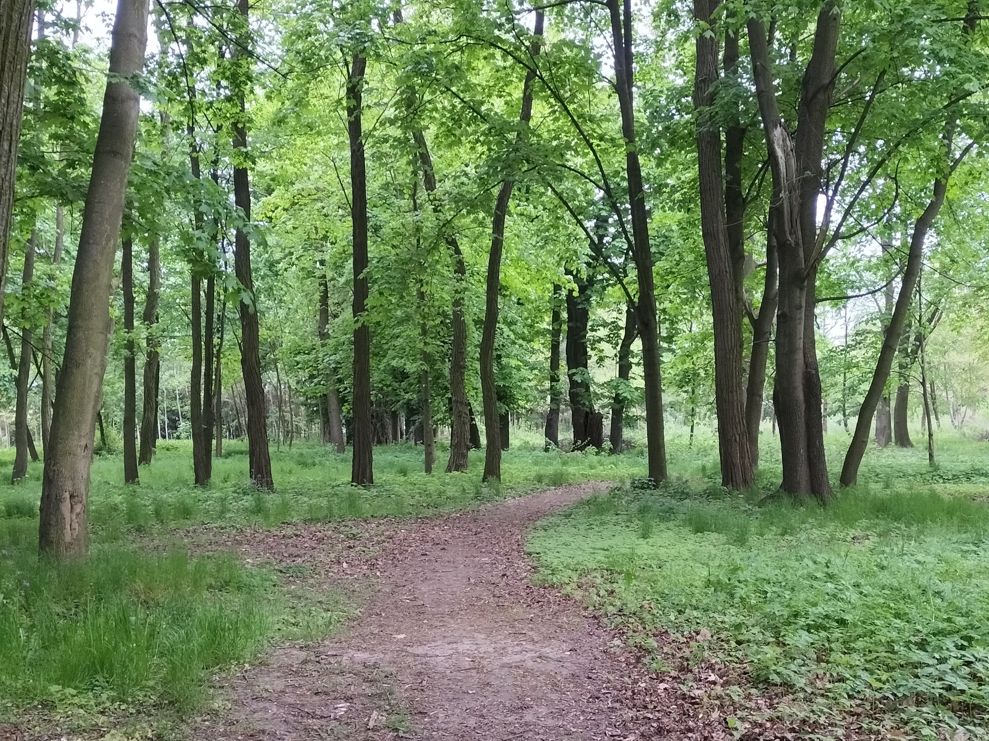 Park w Rzerzęczycach