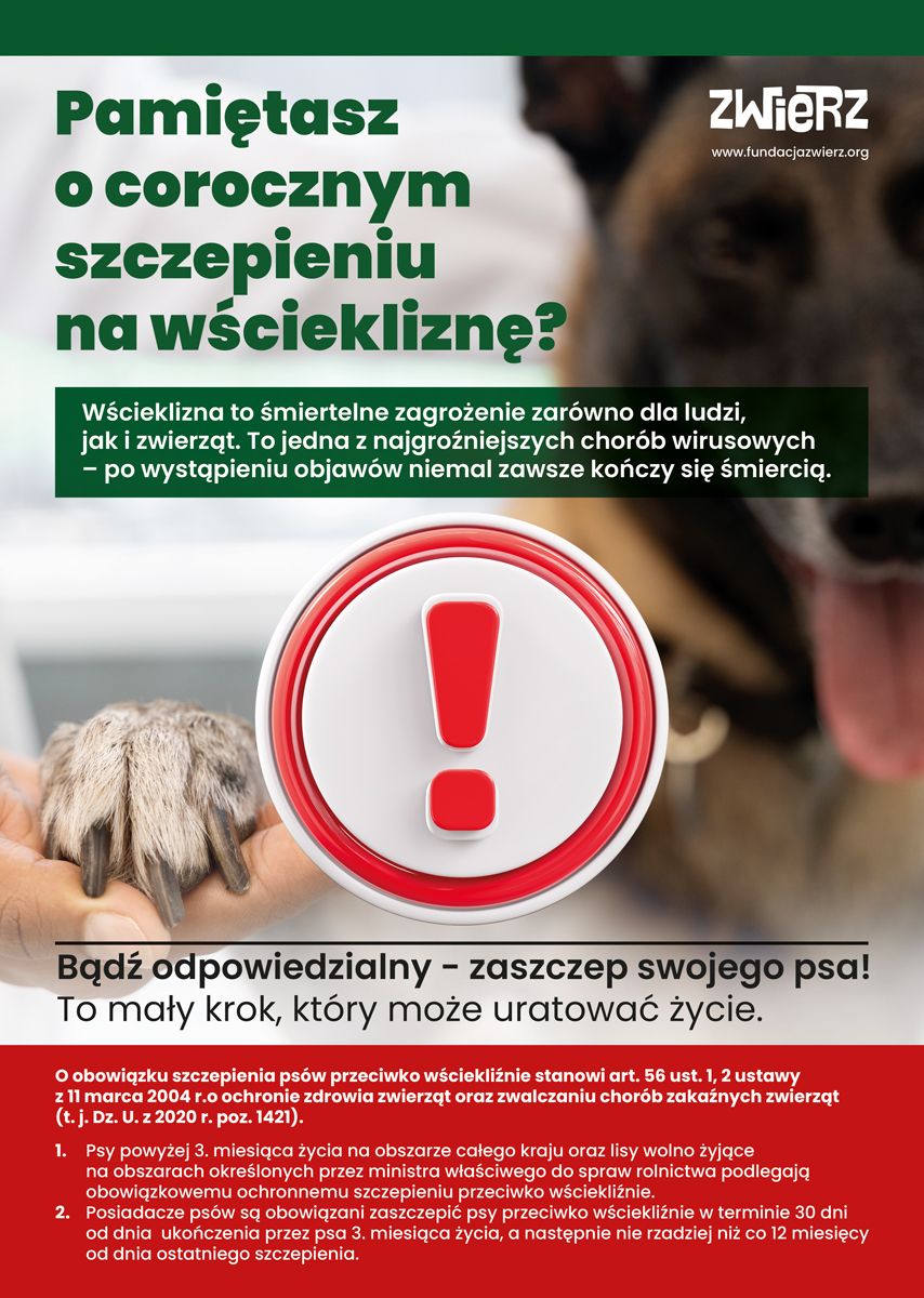 Fundacja Zwierz przypomina o corocznym szczepieniu psów na wściekliznę