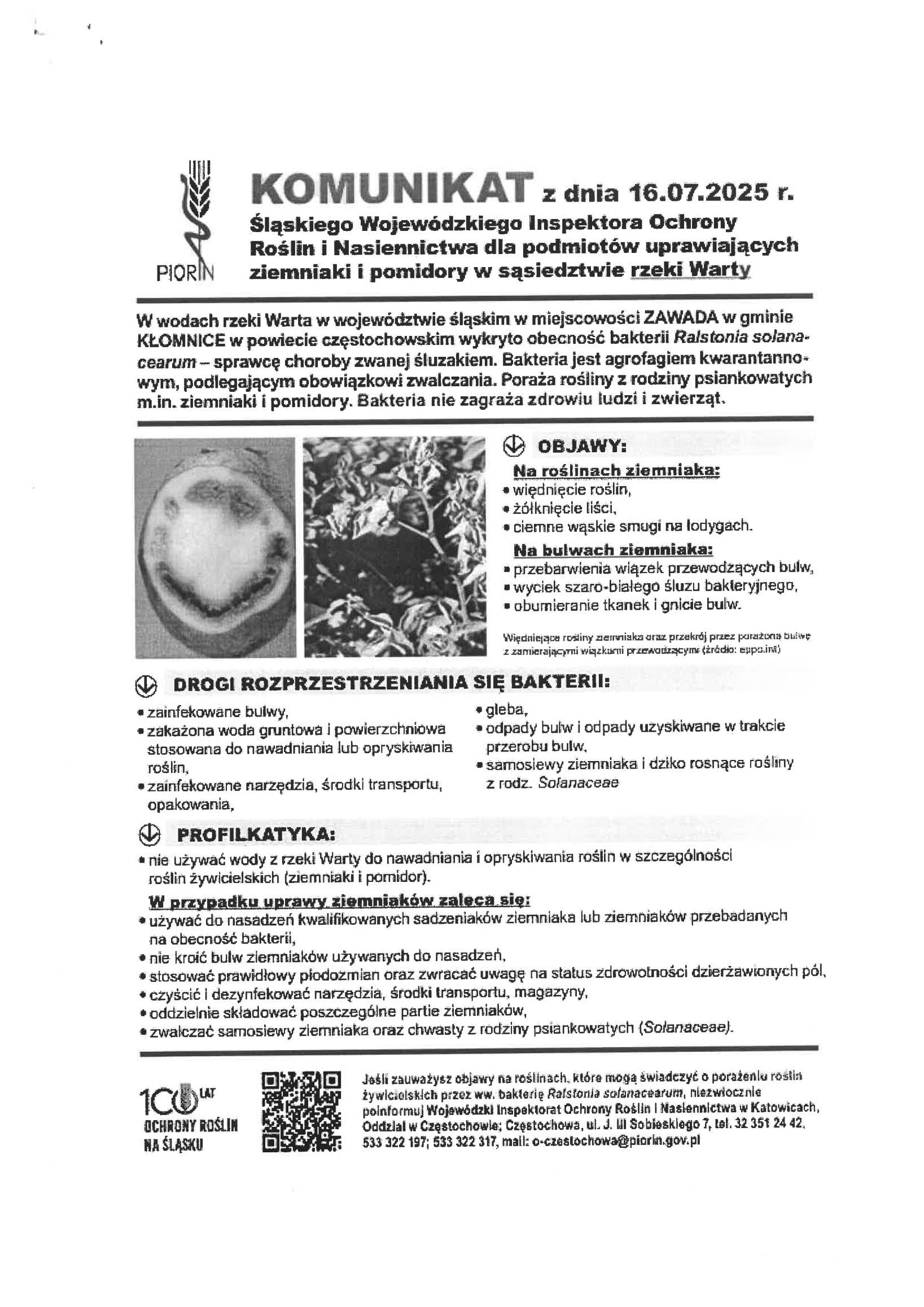 Komunikat Śląskiego Inspektora Ochrony Roślin i Nasiennictwa dla podmiotów uprawiających ziemniaki i pomidory w sąsiedztwie rzeki Warty